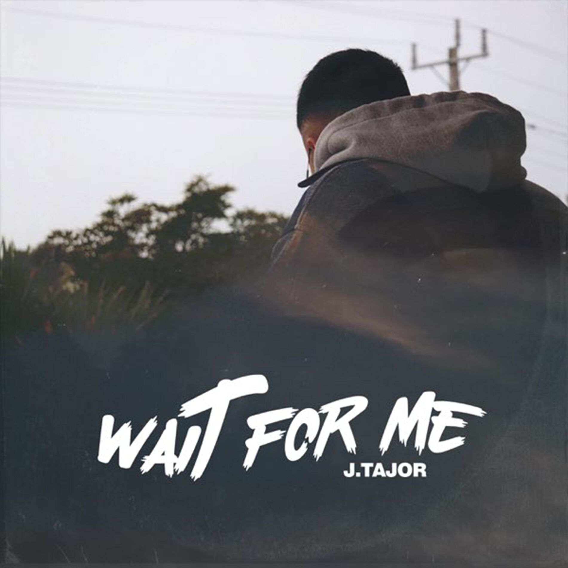 Album cover of Wait For Me