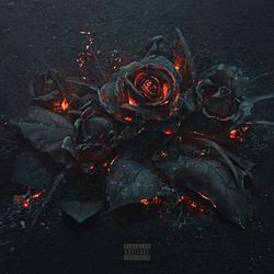 Cover of EVOL