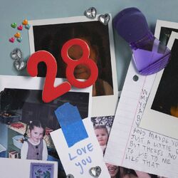 Cover of 28