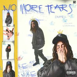Cover of No More Tears