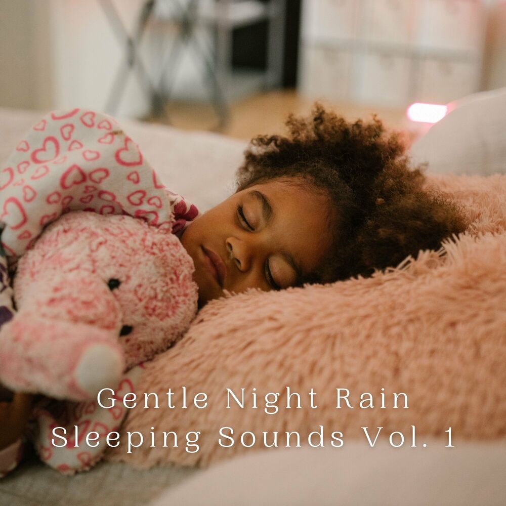 Picture of Gentle Night Rain Sleeping Sounds Vol. 1