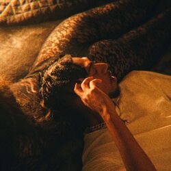 Cover of DSYL