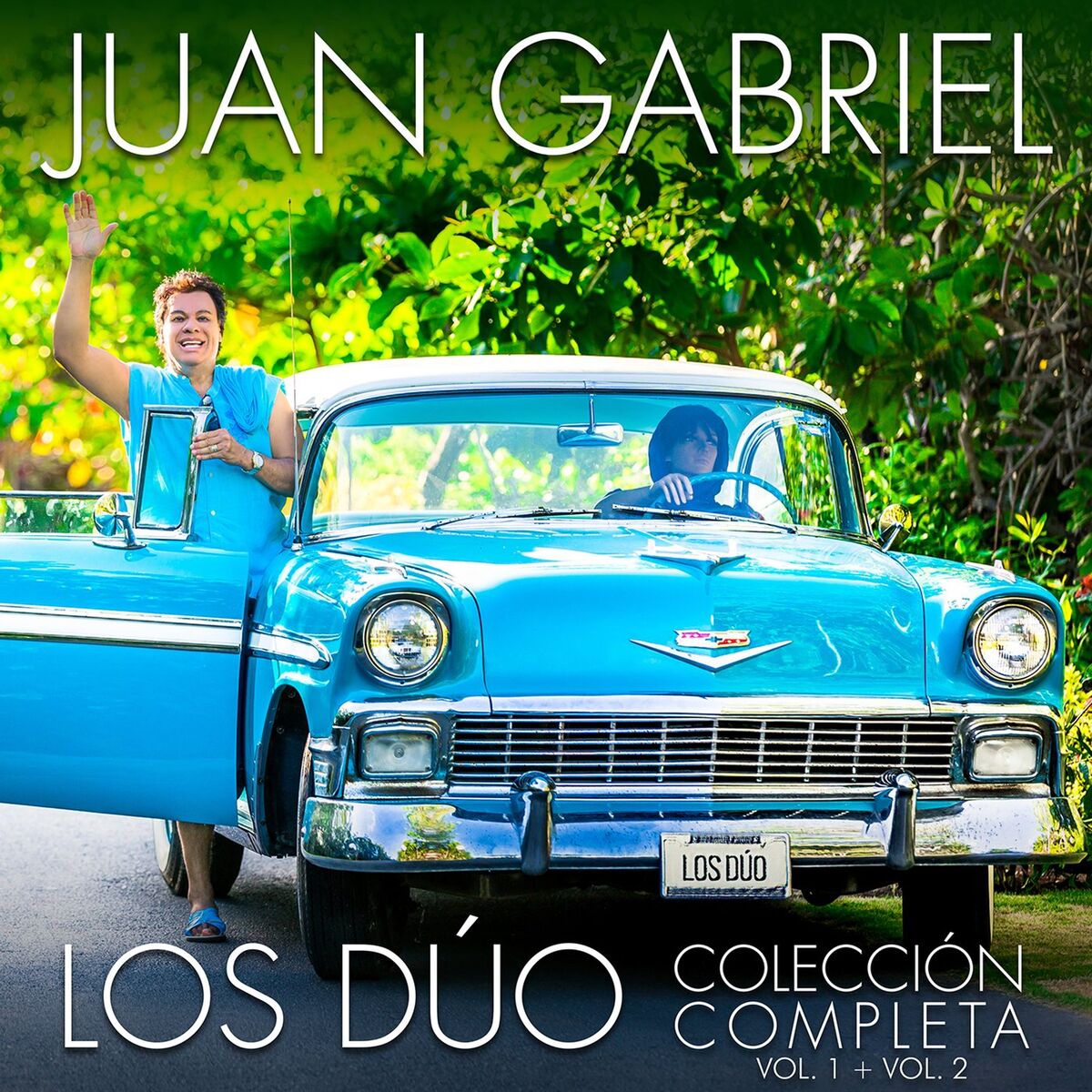 Album cover of Querida