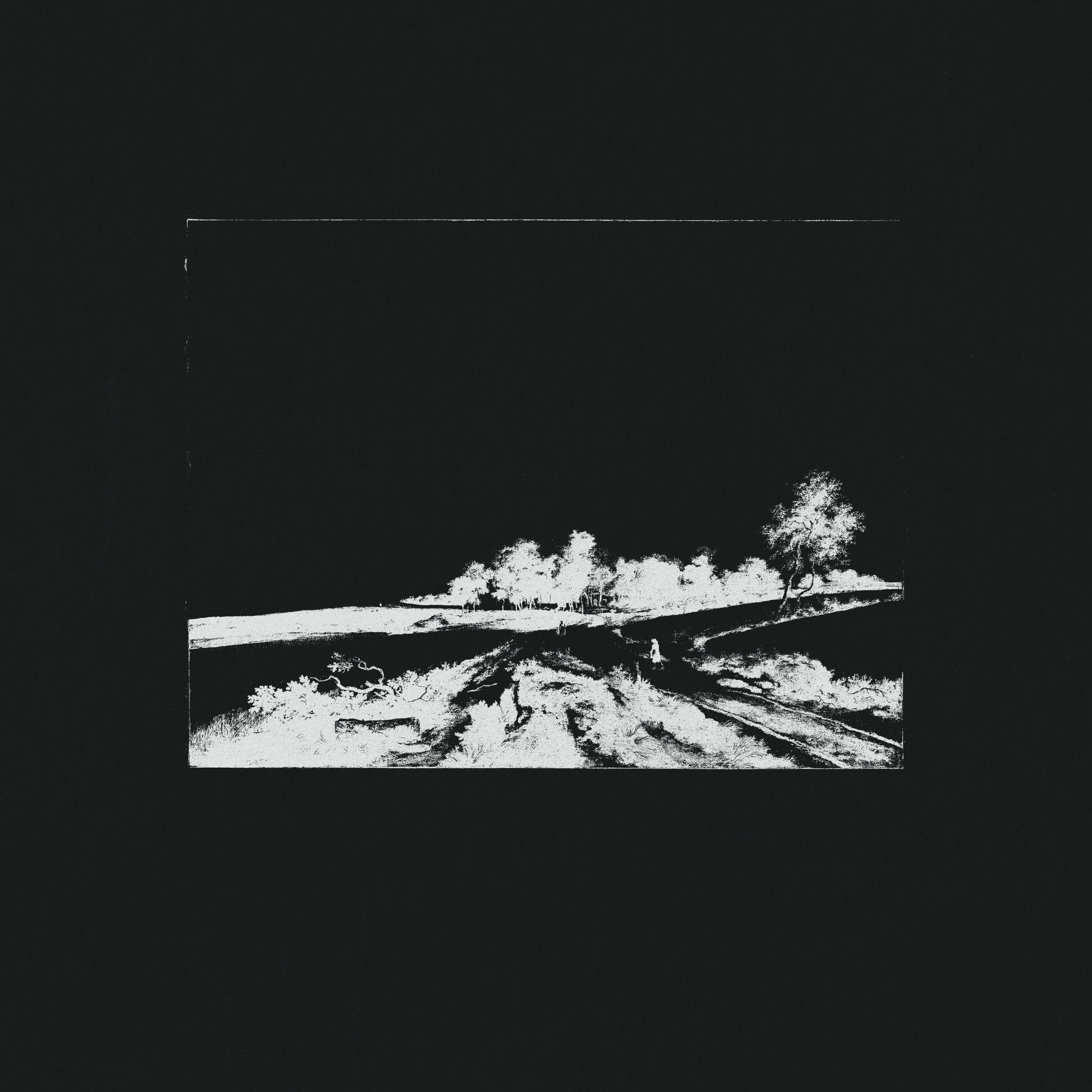 Album cover of Steel Wool