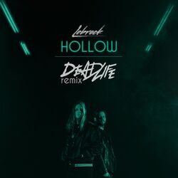Cover of Hollow (DEADLIFE Remix)
