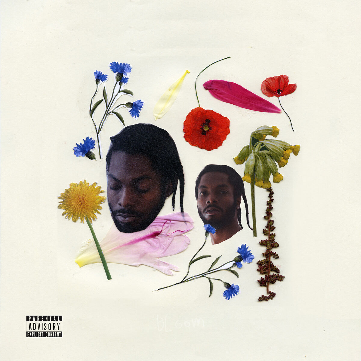 Album cover of Bloom