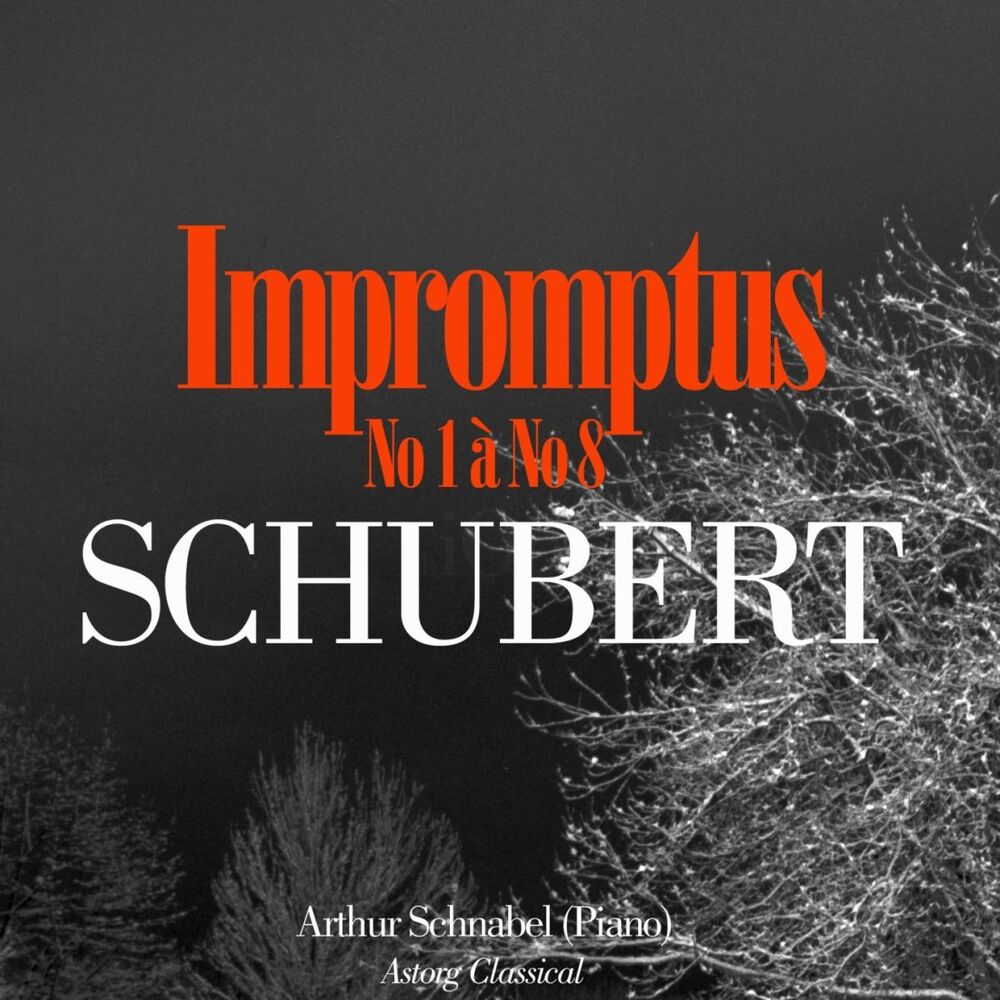 Picture of Schubert: Impromptus