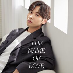 Cover of the name of love