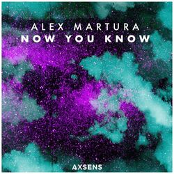 Cover of Now You Know