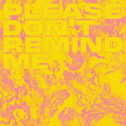 Cover of PLEASE DON'T REMIND ME (feat. Rodney Chrome)