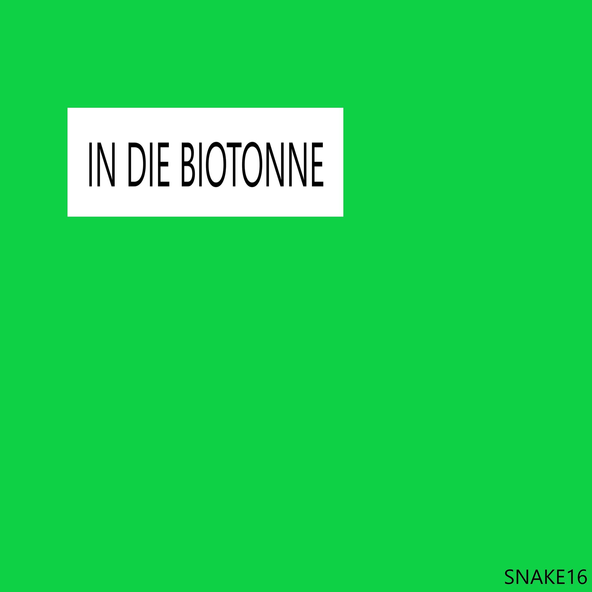 Album cover of IN DIE BIOTONNE