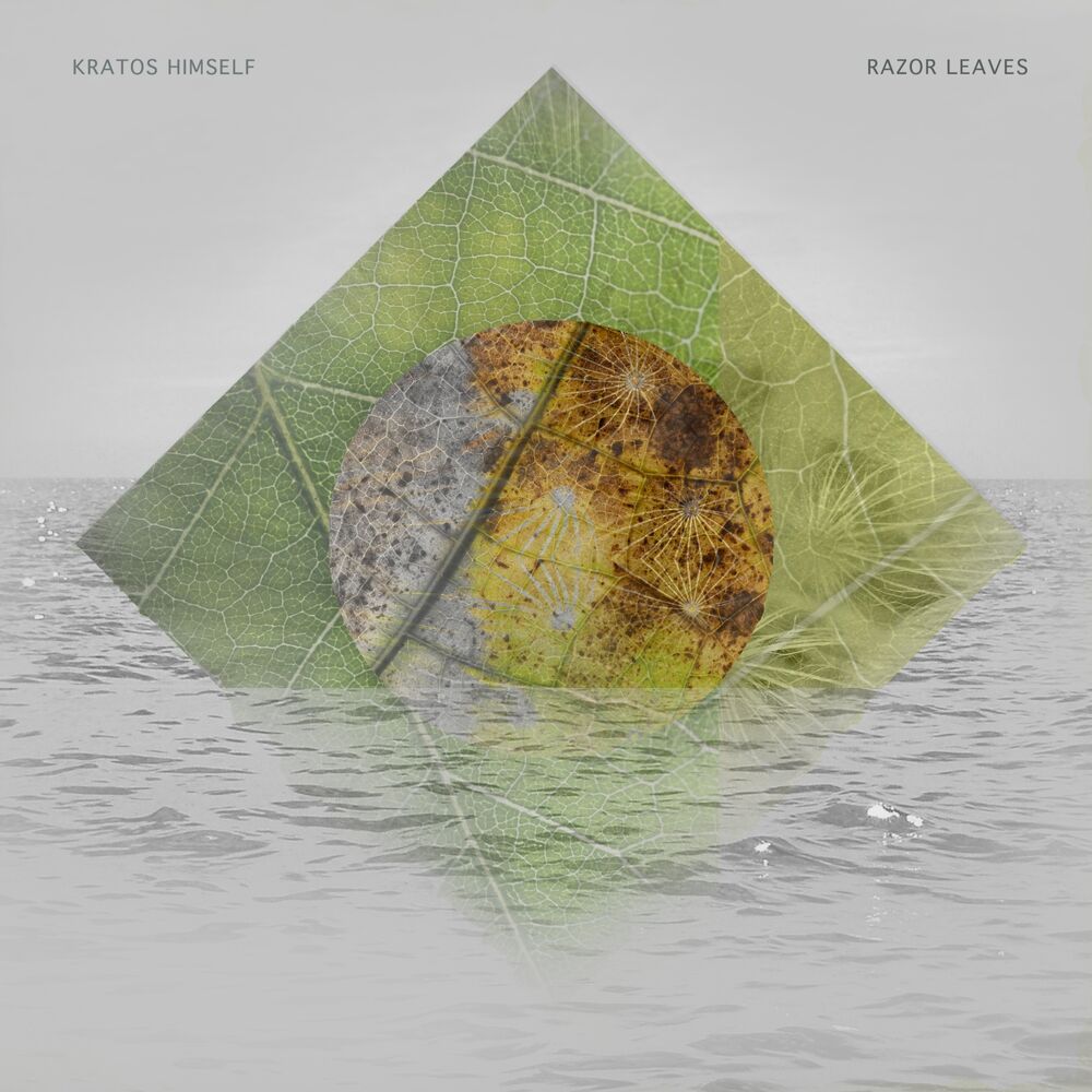 Picture of Razor Leaves