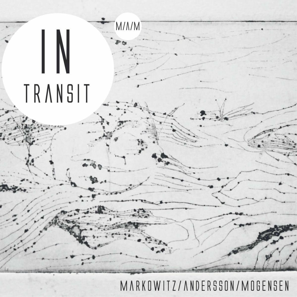 Album cover of In Transit