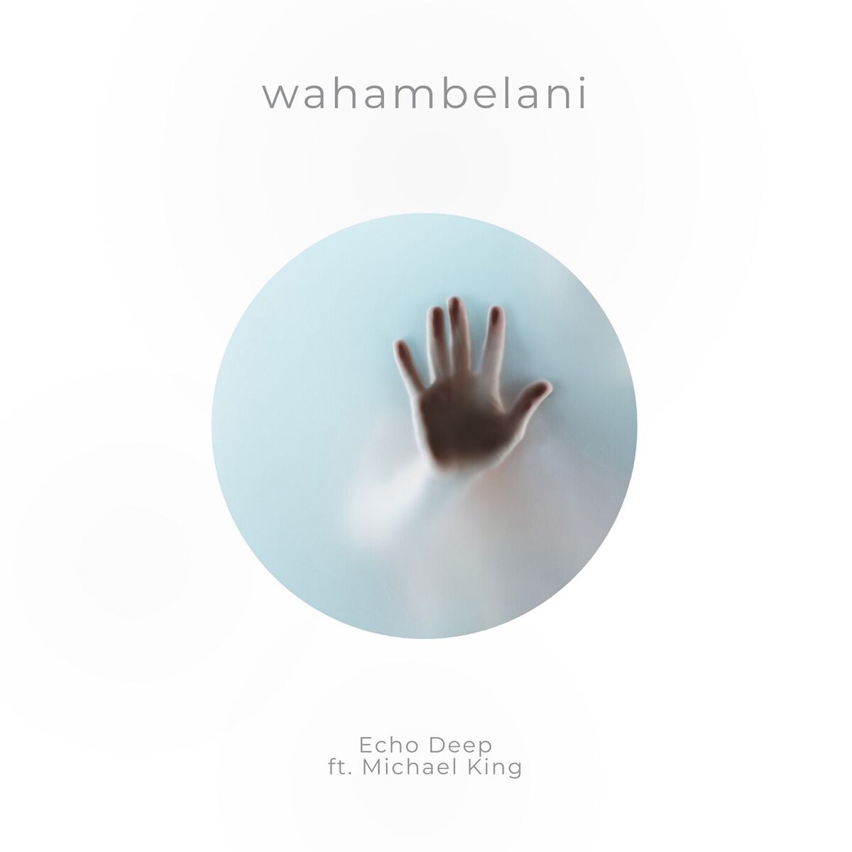 Album cover of Wahambelani (feat. Michael King)