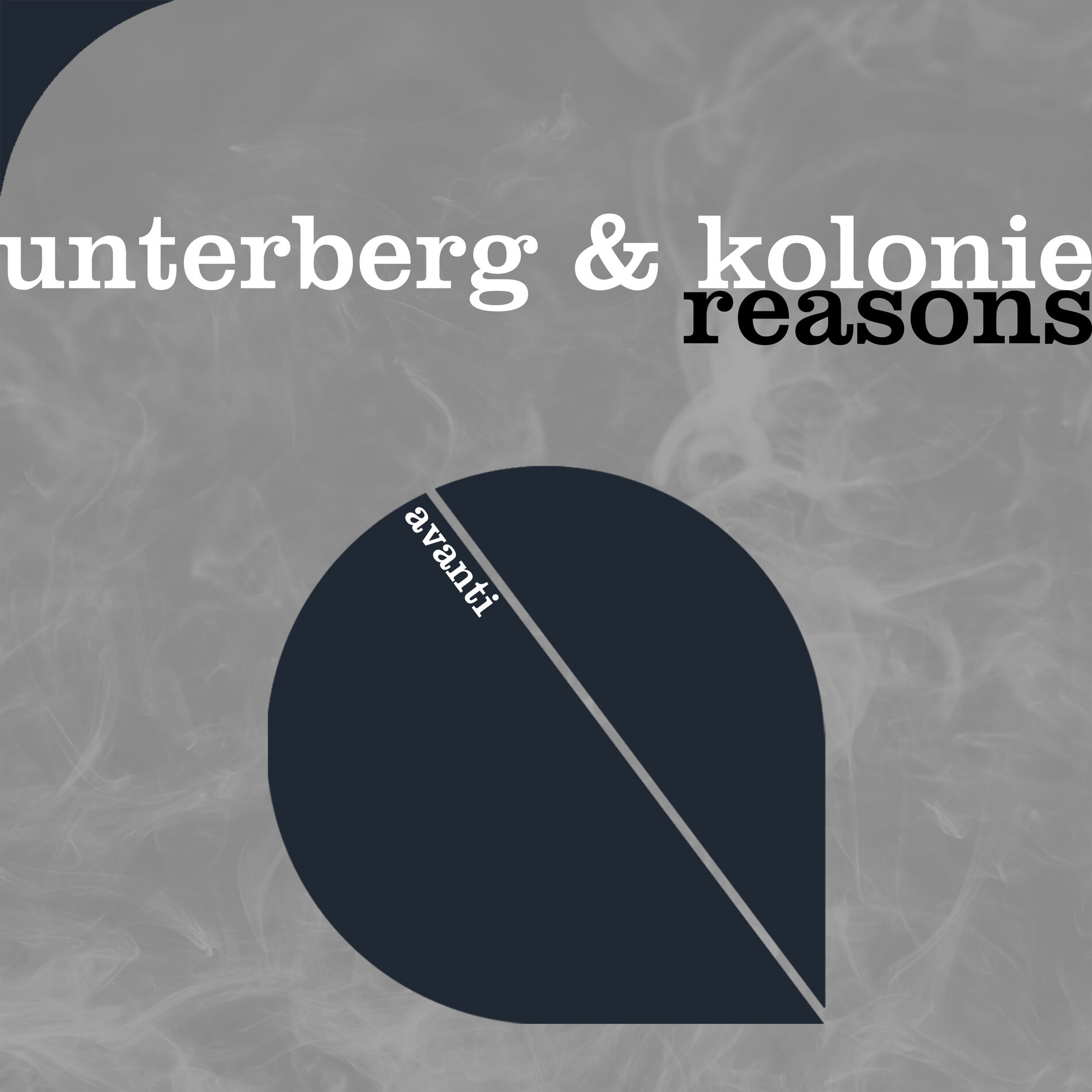 Album cover of Reasons