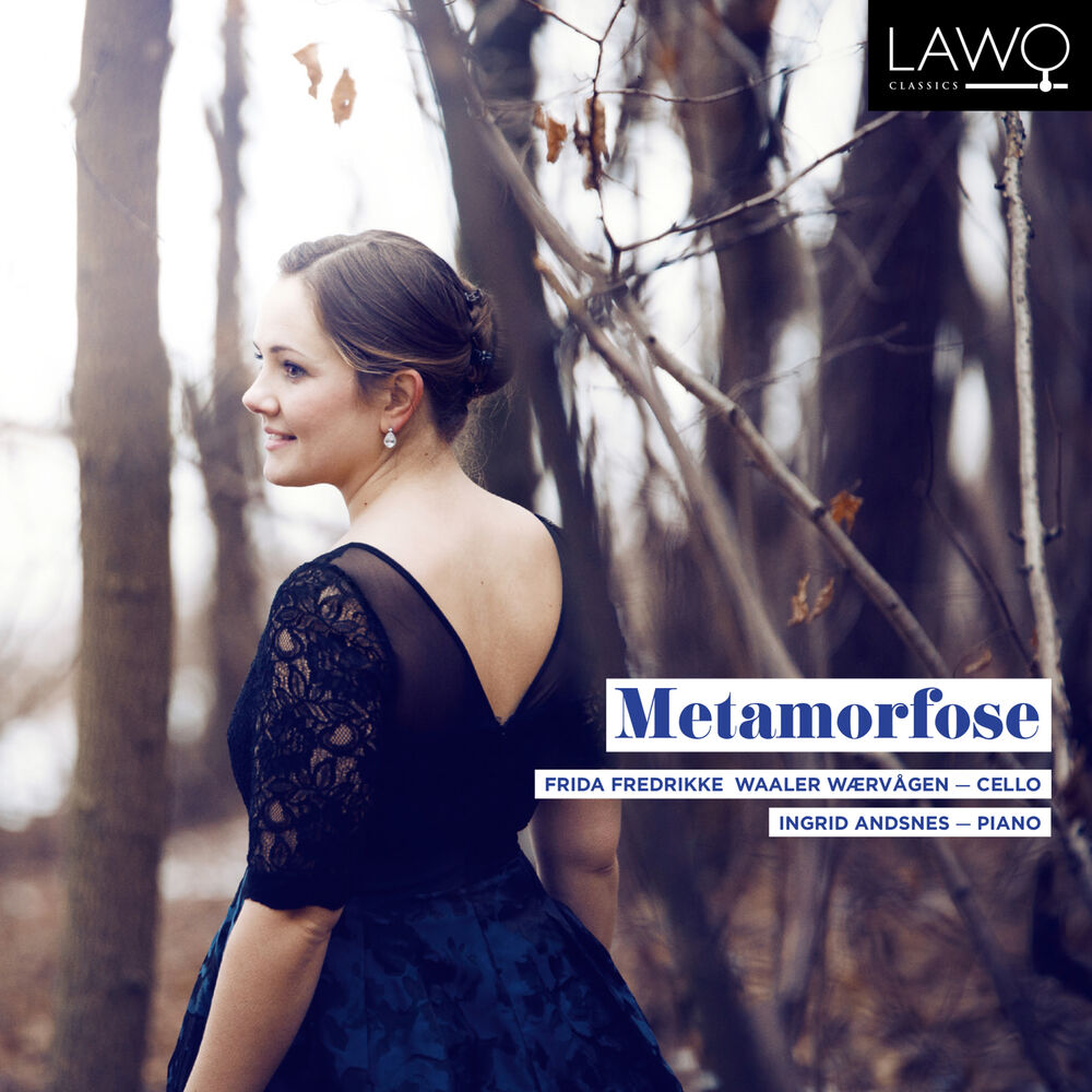 Picture of Metamorfose