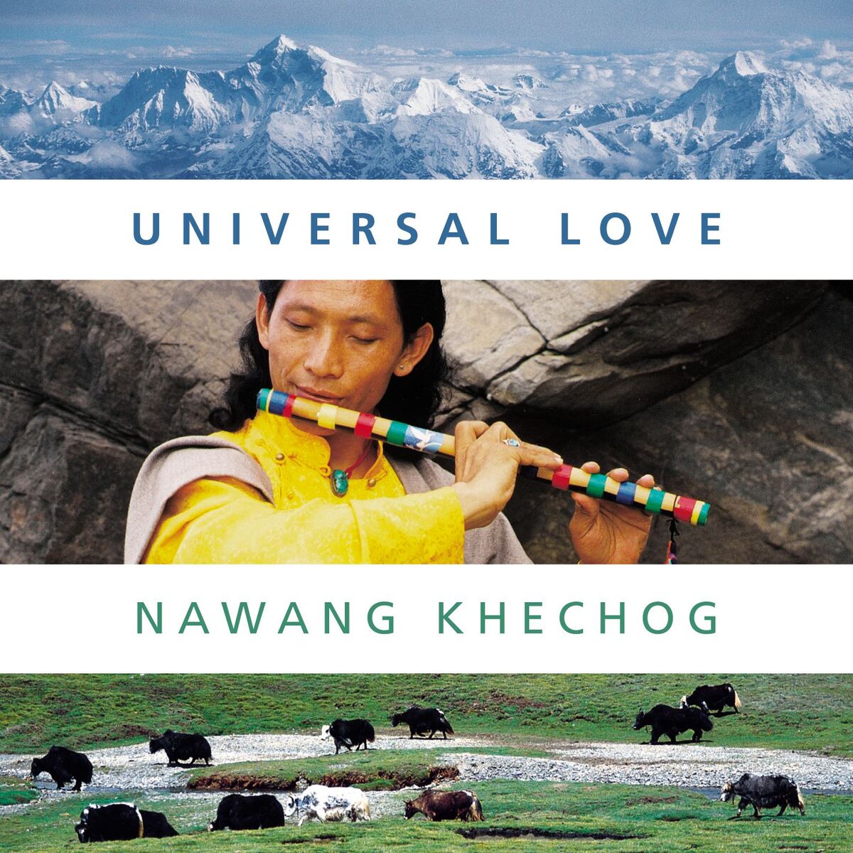 Album cover of The Wish-Fulfilling Jewel in the Himalayas