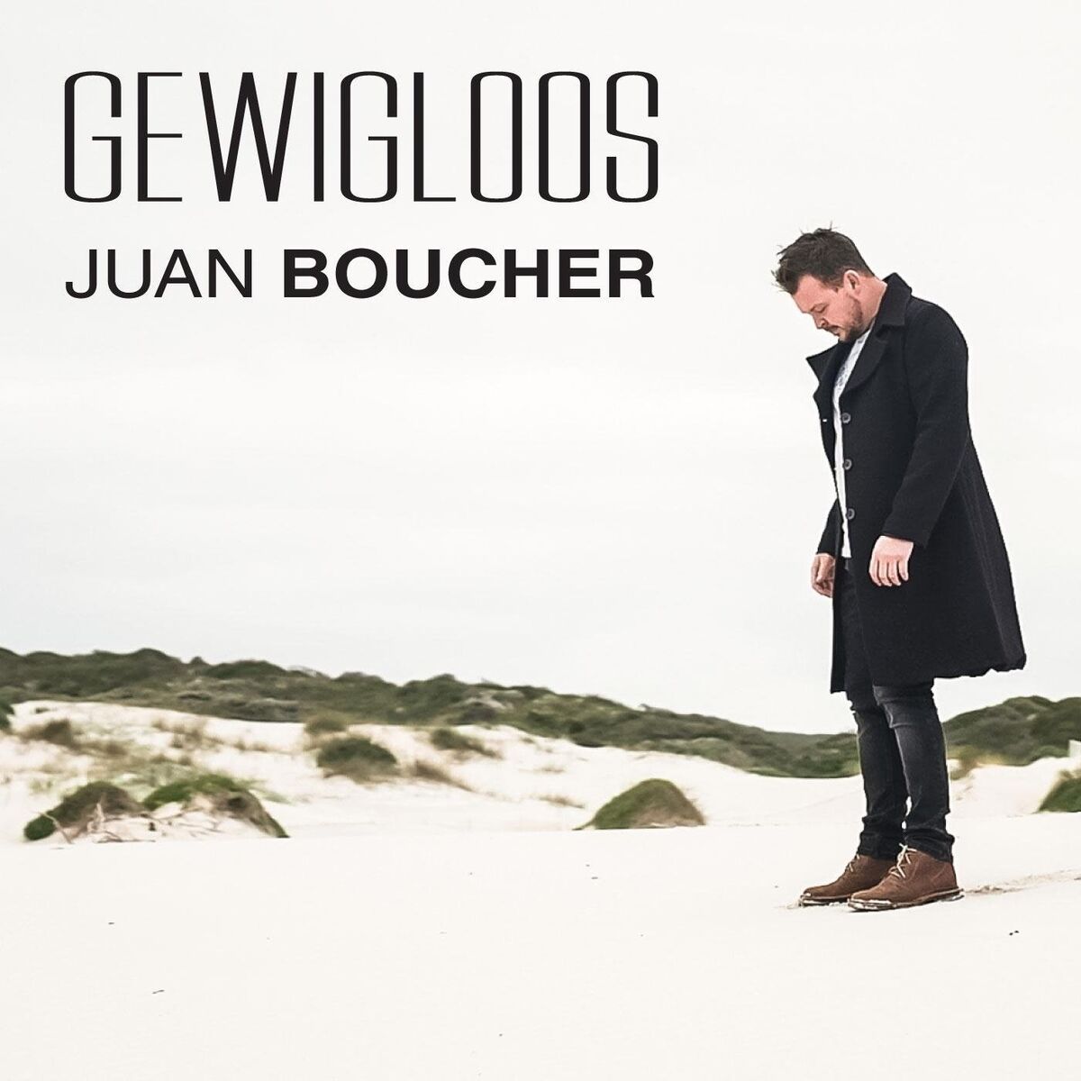Album cover of Gewigloos