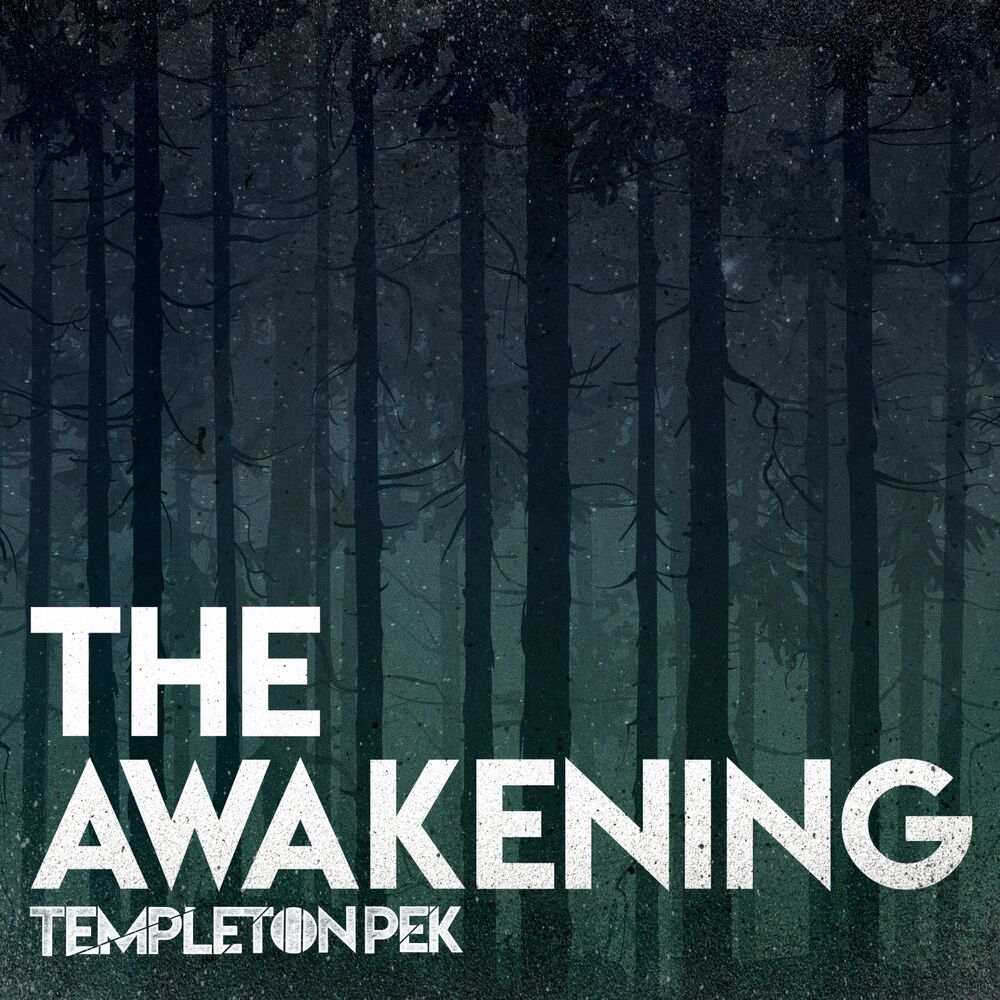 Picture of The Awakening