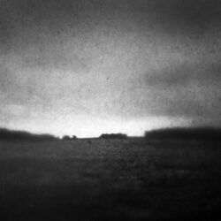 Cover of Fields