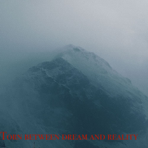 Torn Between Dream and Reality