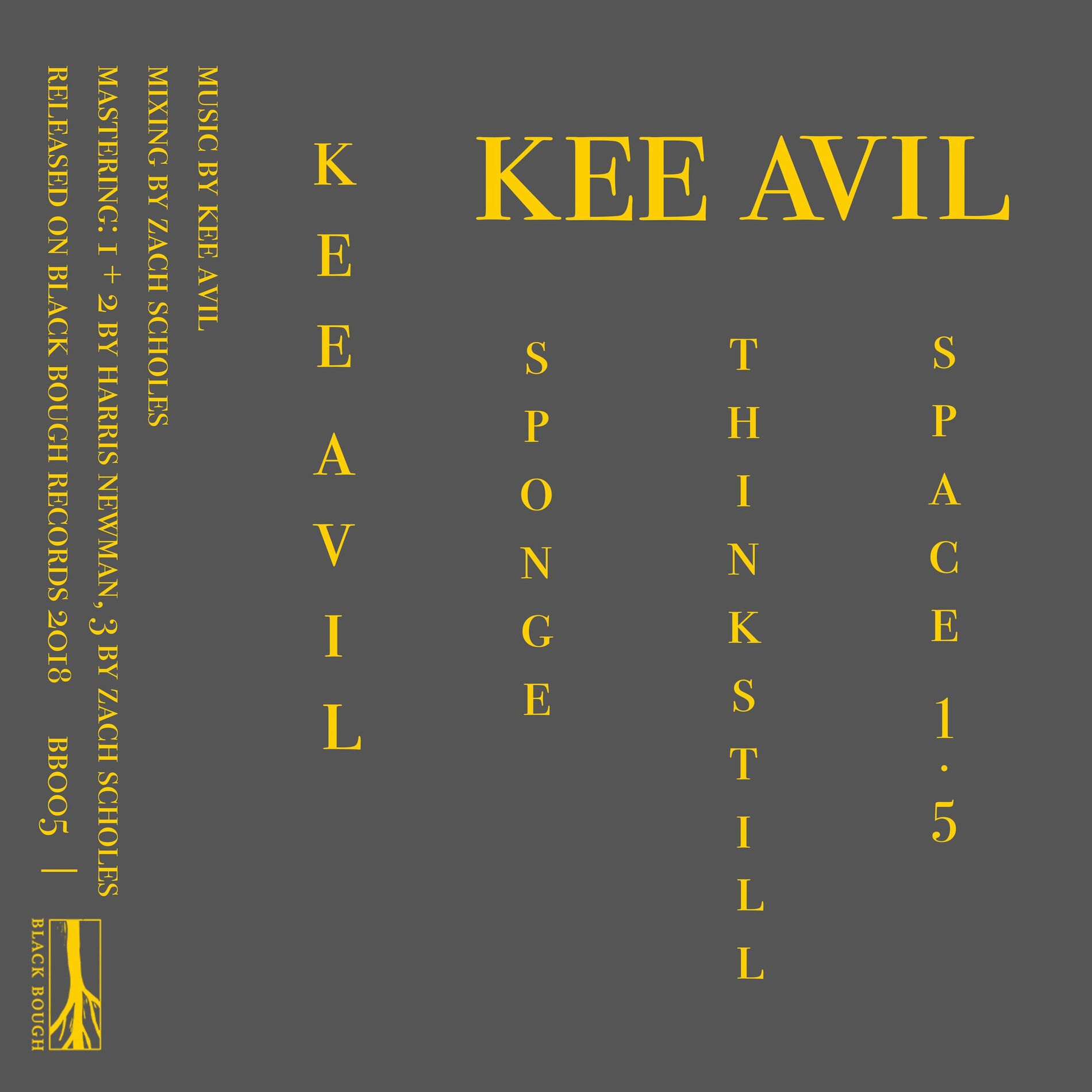Album cover of Kee Avil