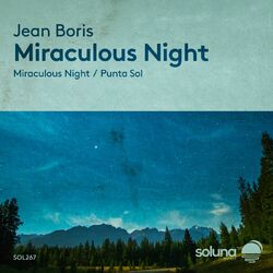 Cover of Miraculous Night
