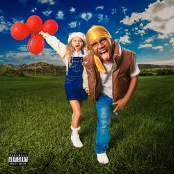 Cover of Playground