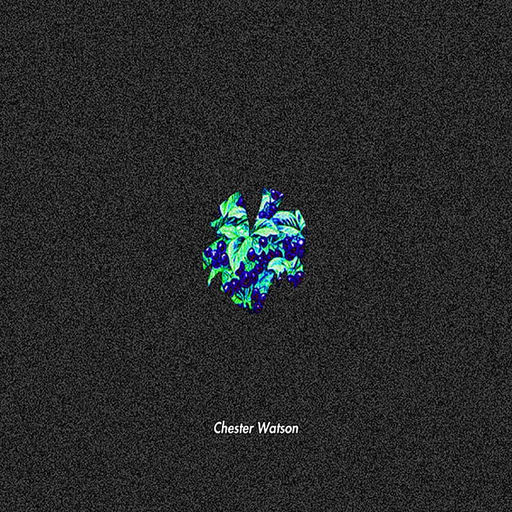 Picture of Guru, Vol. 2