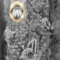 Cover of Votive Deposit