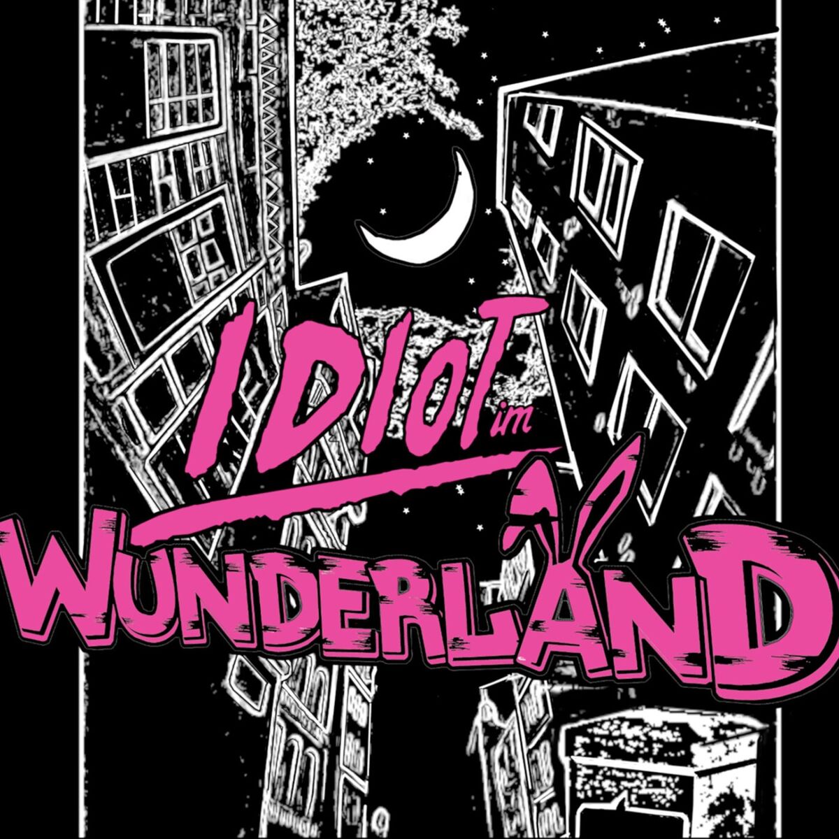 Album cover of Idiot im Wunderland