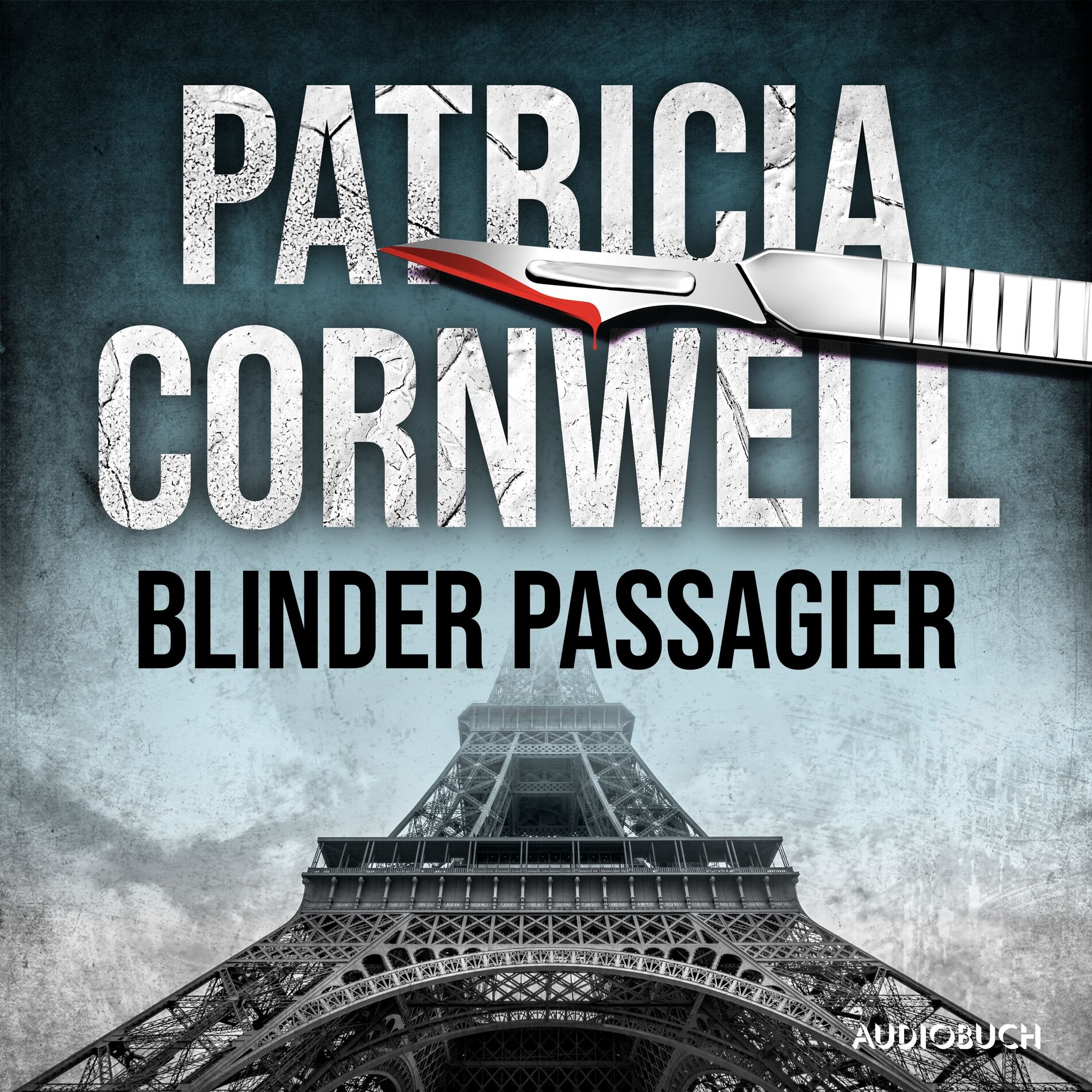 Album cover of Blinder Passagier (Ein Fall für Kay Scarpetta 10)