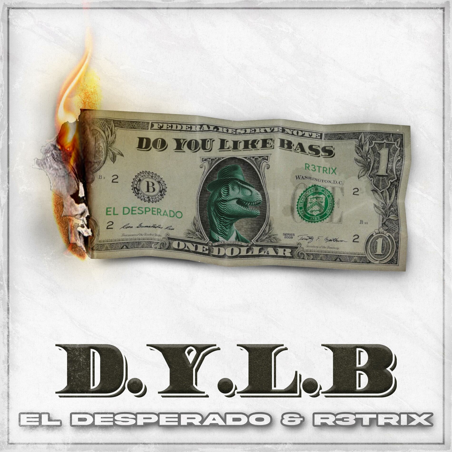 Album cover of DYLB