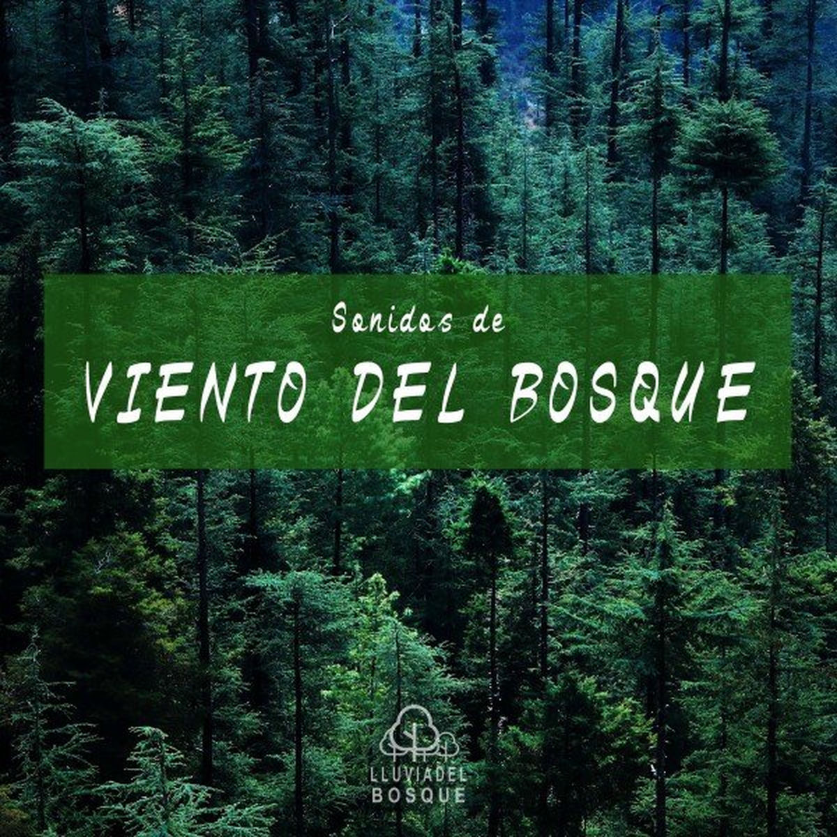 Album cover of Sonidos de Viento del Bosque