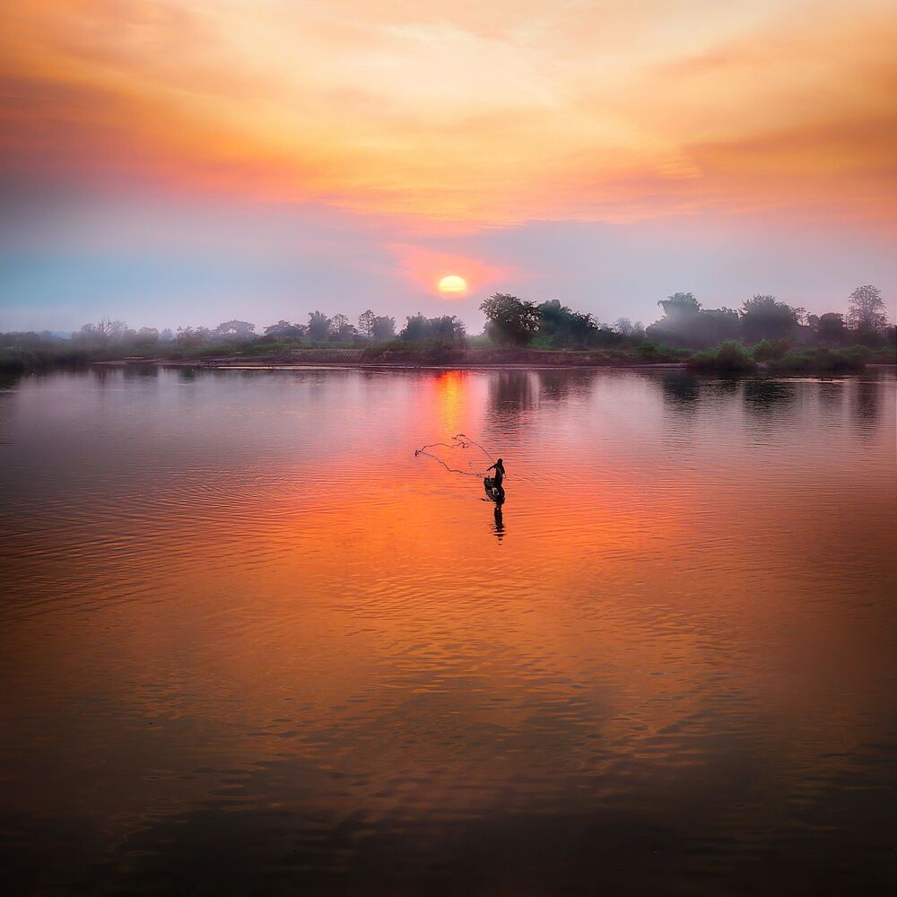 Picture of Rise