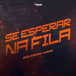 Cover of Se Esperar Na Fila