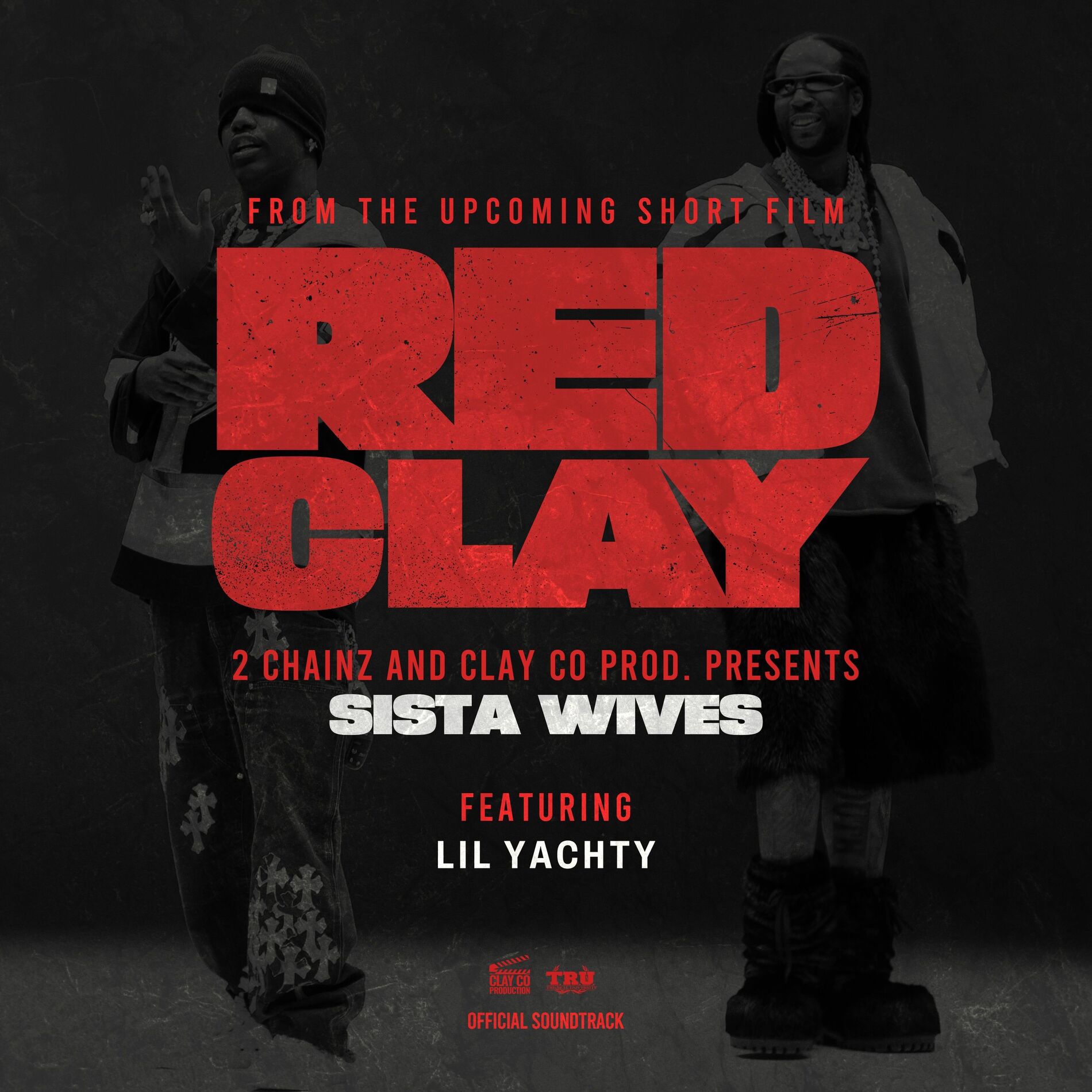 Album cover of SISTA WIVES