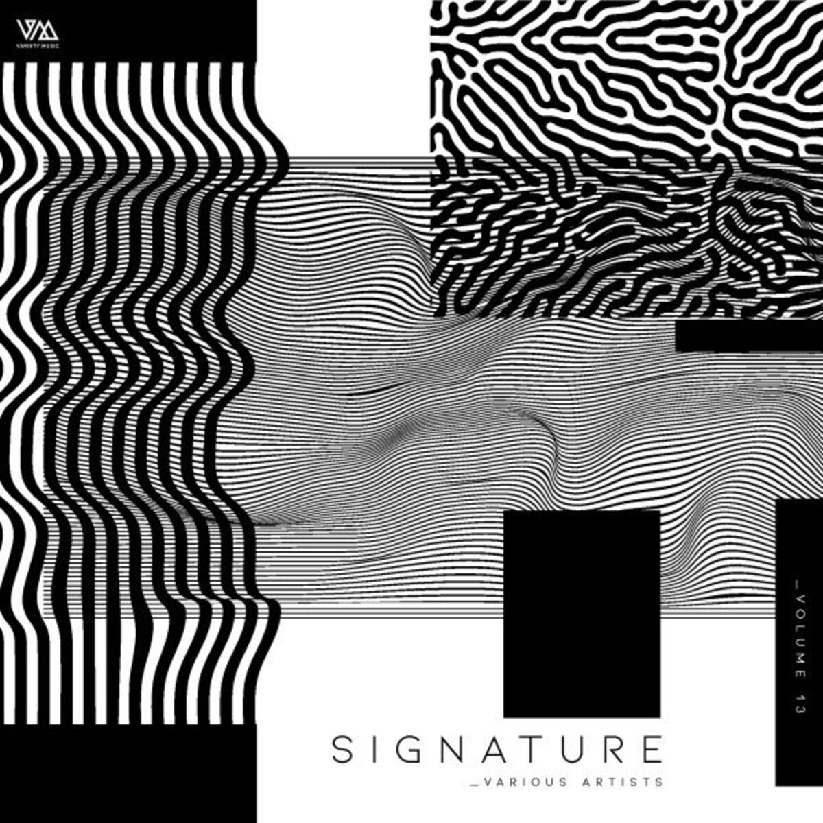Album cover of Variety Music Pres. Signature, Vol. 13