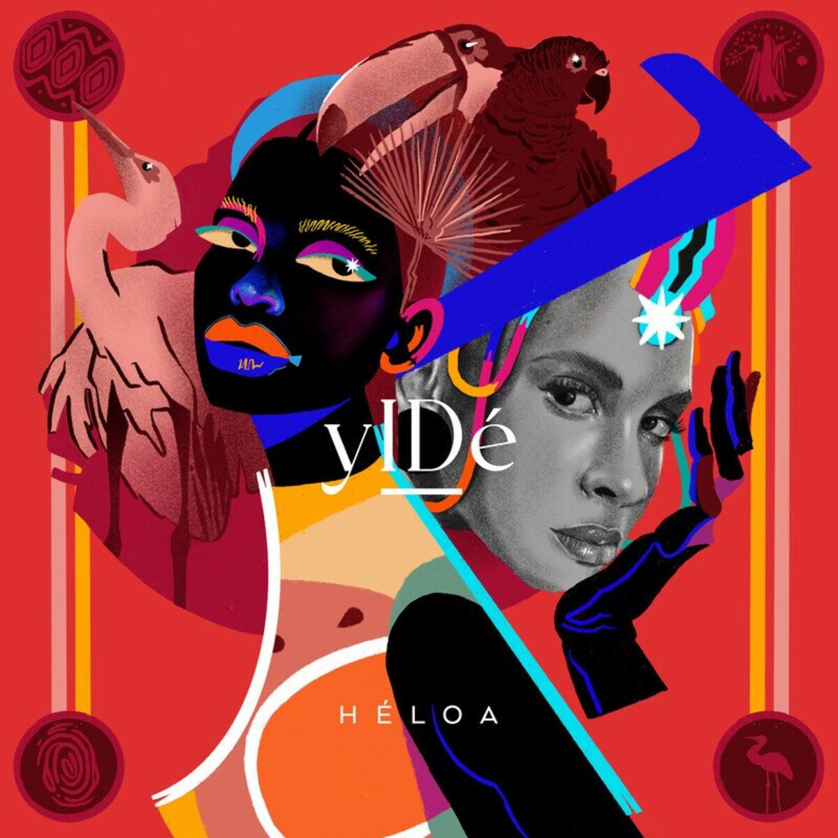 Album cover of A Vida É