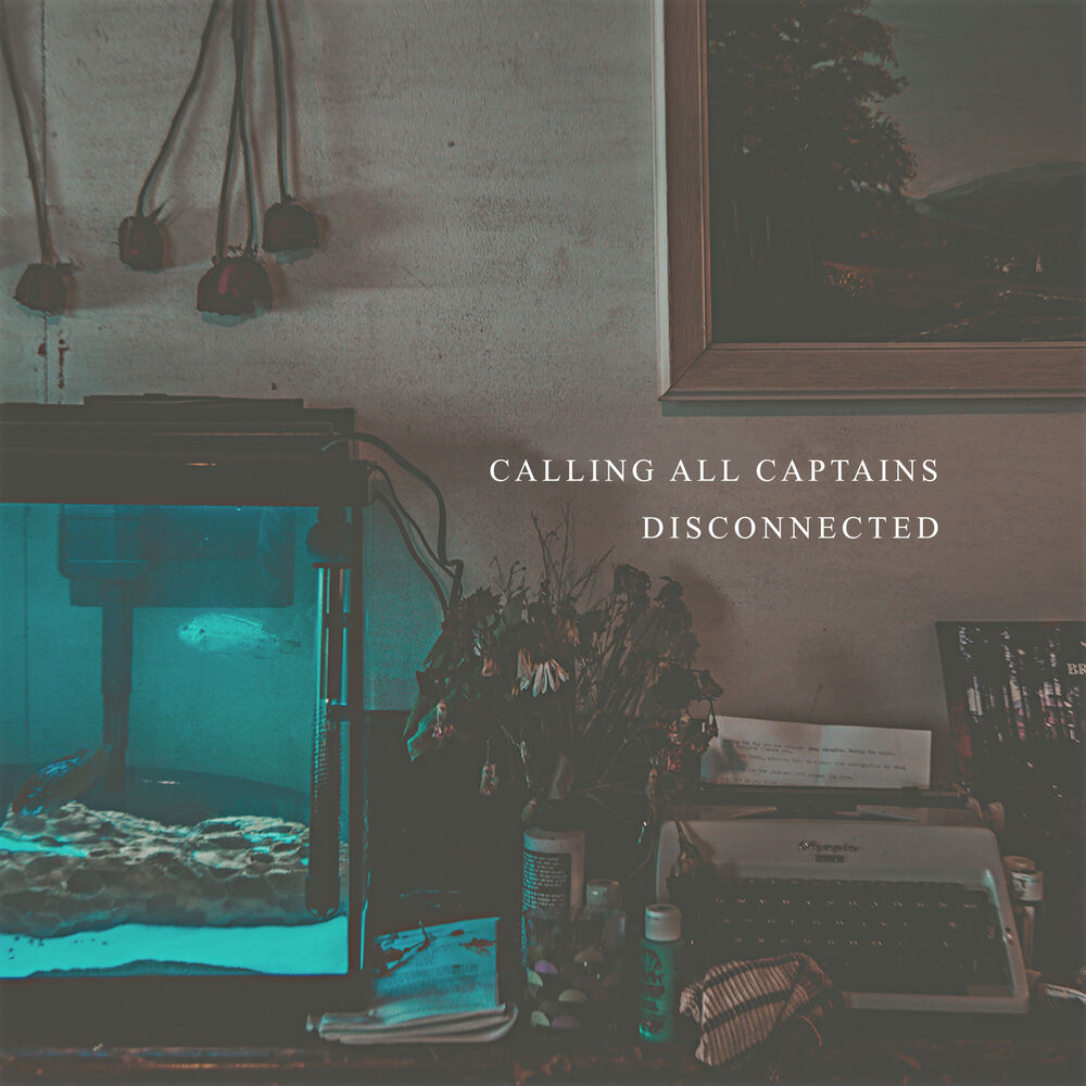 Picture of Disconnected