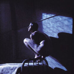 Cover of Birdy: Music from the film
