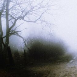 Cover of Resurrected