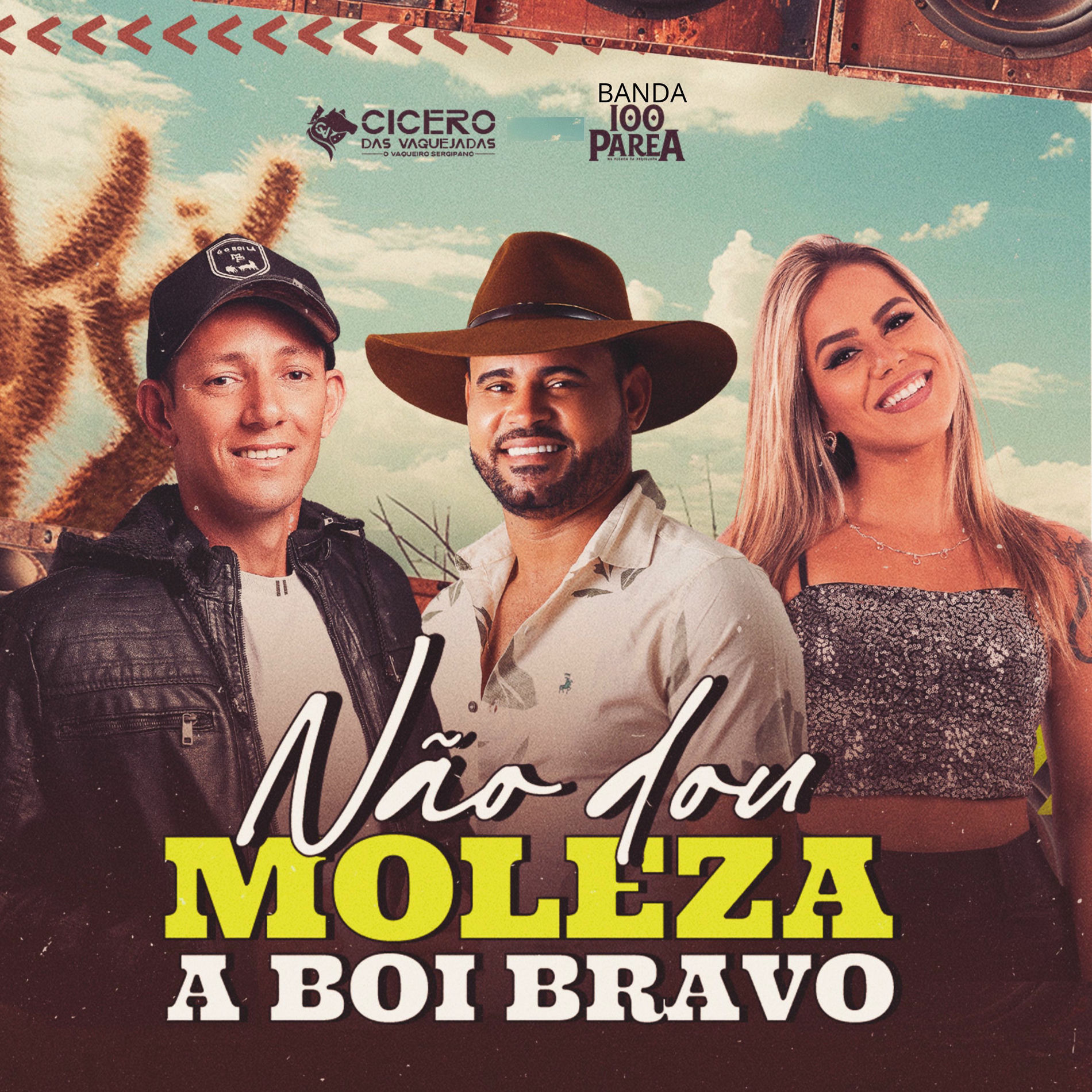 Album cover of Não Dou Moleza a Boi Bravo