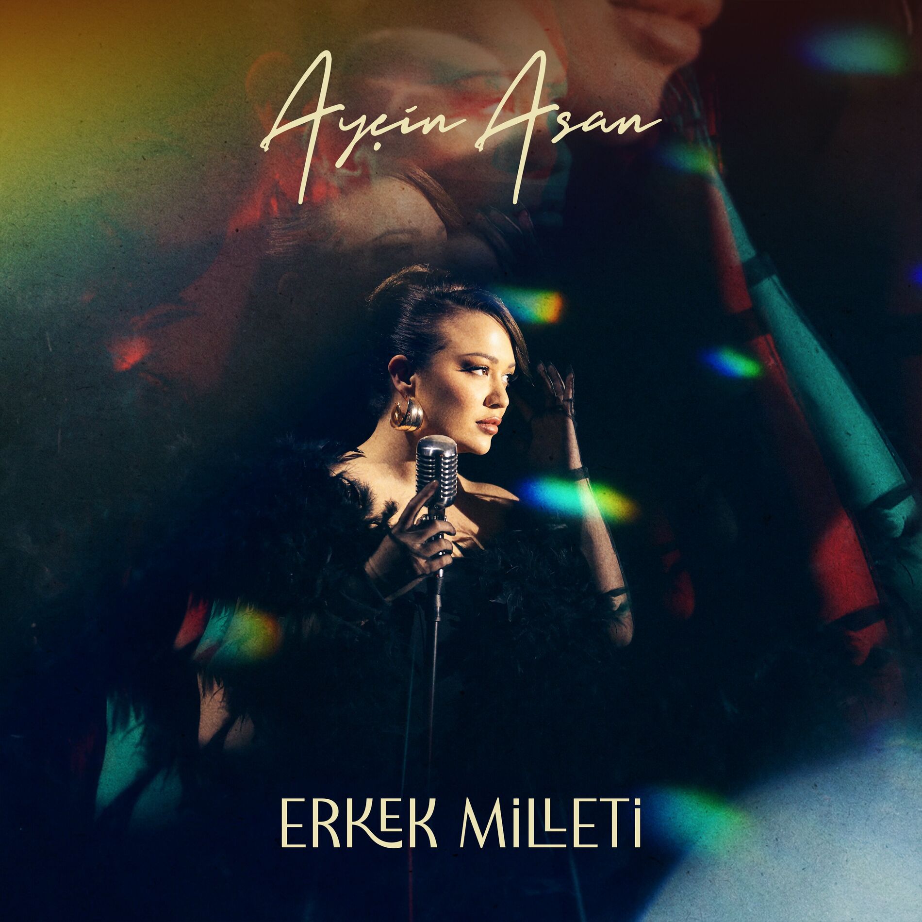 Album cover of Erkek Milleti