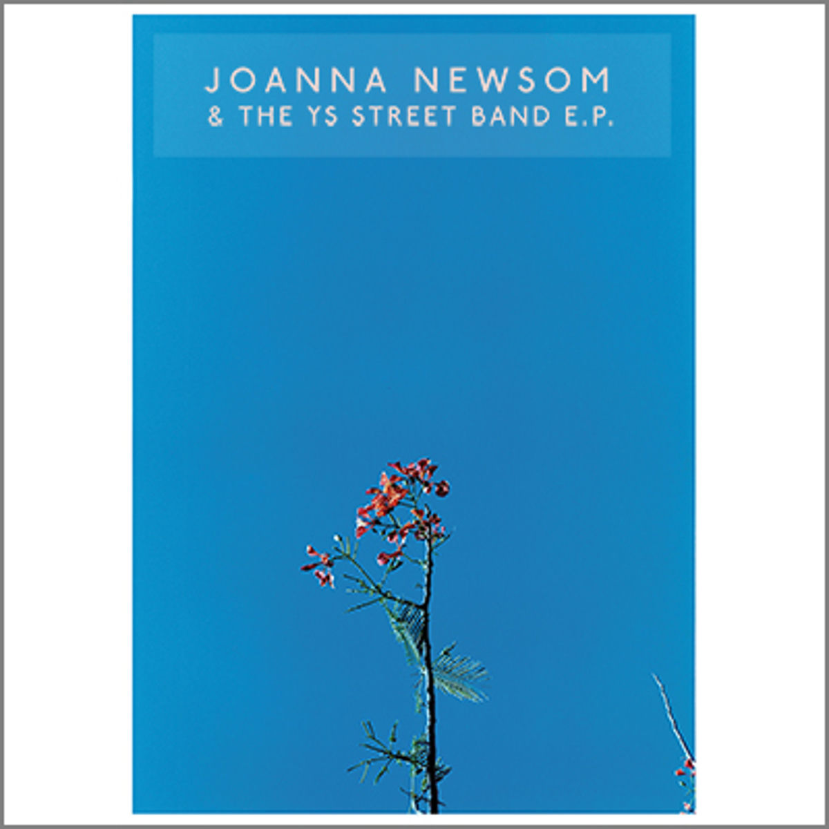 Album cover of Joanna Newsom & The Ys Street Band
