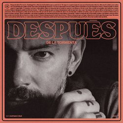 Cover of Después de la Tormenta