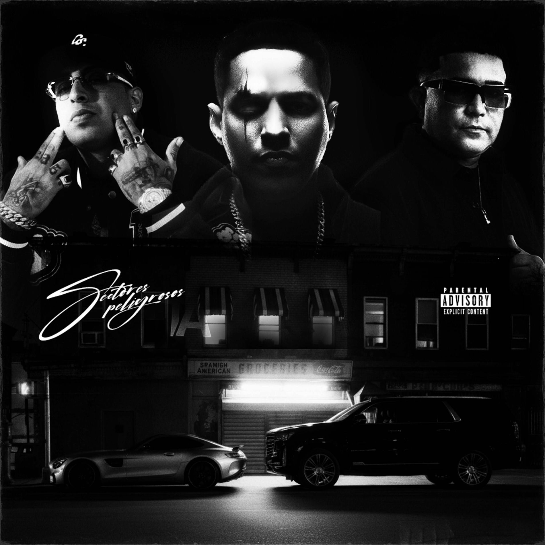 Album cover of Sectores Peligrosos