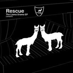 Cover of The Llama Drama Ep