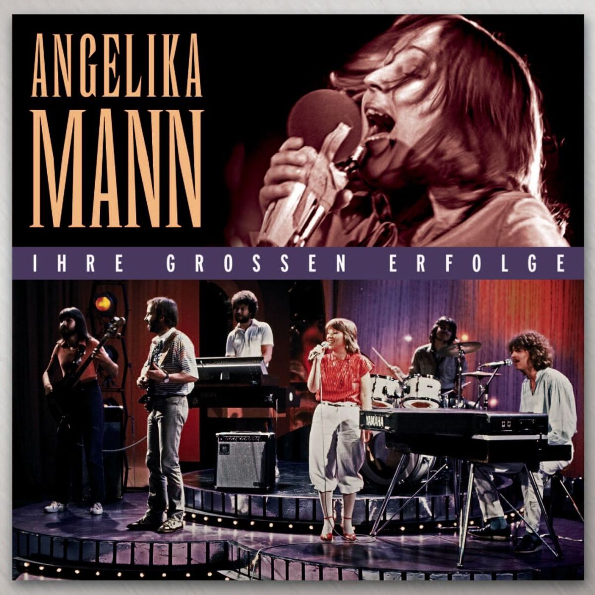 Album cover of Die großen Erfolge