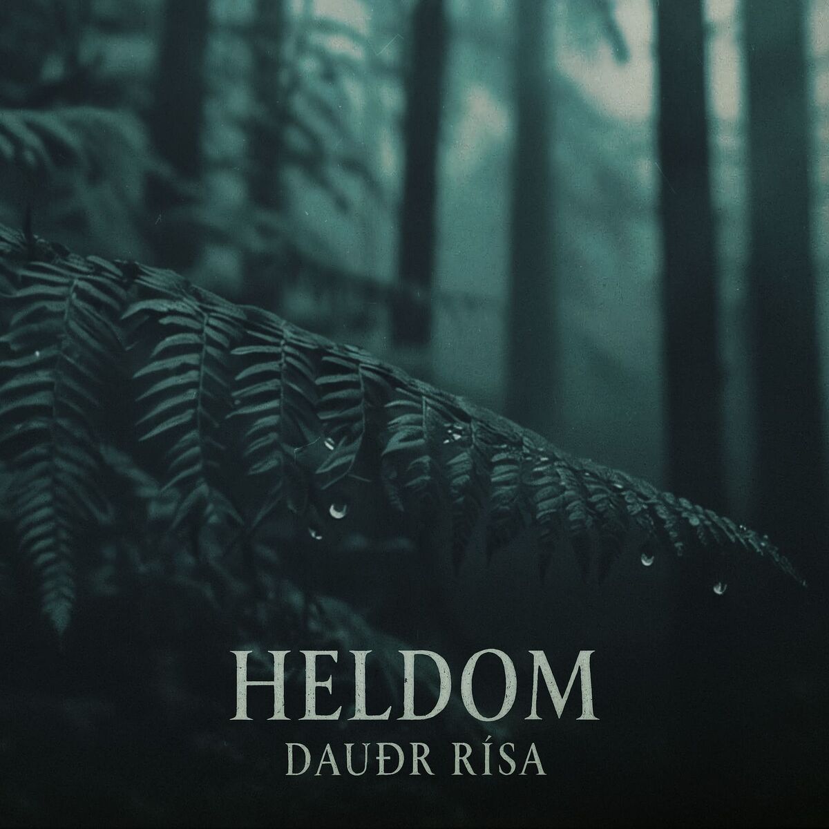 Album cover of Dauðr Rísa